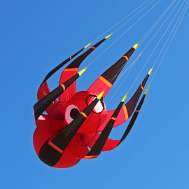 ITW Flying Spider Kite Line Laundry