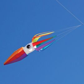 ITW 11-ft Rainbow Flying Squid Kite Line Laundry