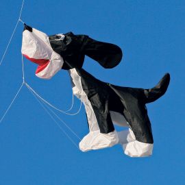 4-ft Skippy Jr Kite Line Laundry