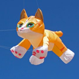 8-ft Kitten Ginger Tabby Kite Line Laundry