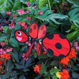 Baby Bug Ladybug Lawn Spinner