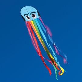 Blue Rainbow Octopus Kite