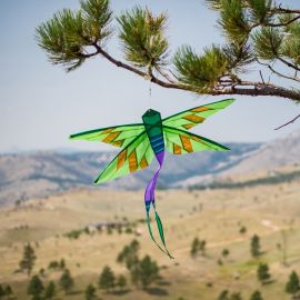 Green Damselfly Banner