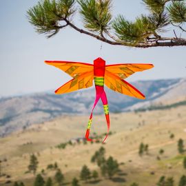 Orange Damselfly Banner