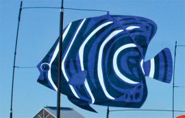 Korean Angelfish Tropical Swimming Fish Windsock
