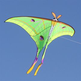 Luna Moth Kite