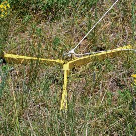 The Claw Big Kite Tie Down
