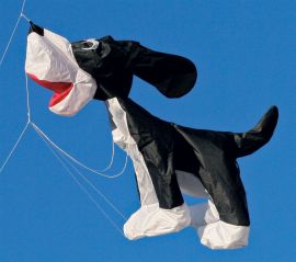 Big 8-ft Skippy Kite Line Laundry