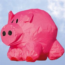 Porky Bouncing Buddy Ground Display
