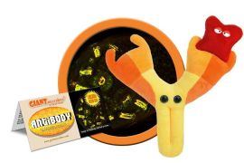 Antibody (Immunoglobulin) Giant Microbe