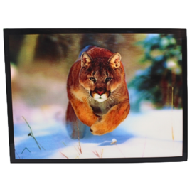 3D Mountain Lion Poster