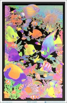 Living Reef Black Light Poster