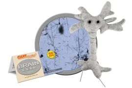 Brain Cell (Neuron) Giant Microbe