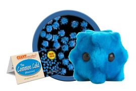 Common Cold (Rhinovirus) Giant Microbe