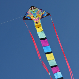 Delta XLT Dragon Kite