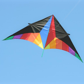 Downtown Delta Kite