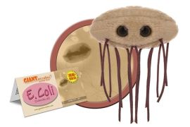 E. Coli Giant Microbe