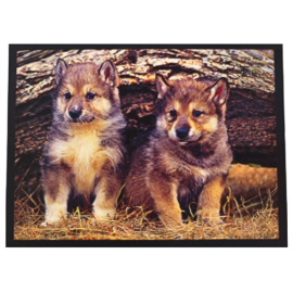 3D Gray Wolf Pup Poster