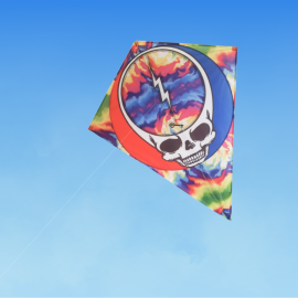 40" Festival Skull Diamond