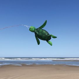 Sea Turtle Windsock