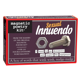 Sexual Innuendo Magnetic Poetry Kit
