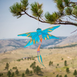 Damselfly Banner Blue