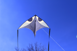 Gray Wala Glider Kite