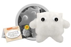 White Blood Cell (Leukocyte) Giant Microbe