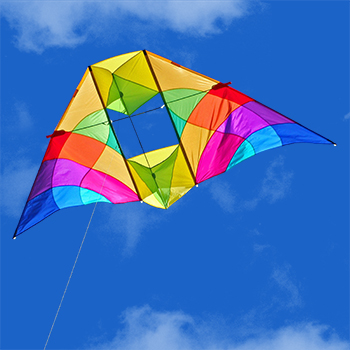 Into The Wind : Known and Flown for over 30 years - Buy at Into The Wind  Kites