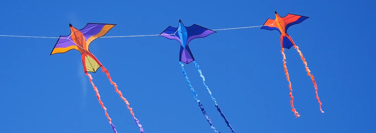 Flying Creature Kites
