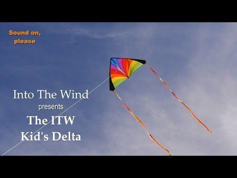 Details about   Large delta kite For kids and single adults line easy handle funny fly,kite Z1T9 