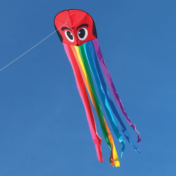 WindNSun Rainbow Octopus Kite - Buy at Into The Wind Kites ...