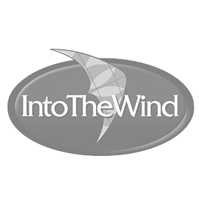Into The Wind